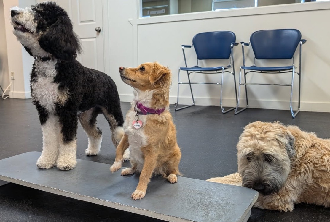 Life Skills Refresher